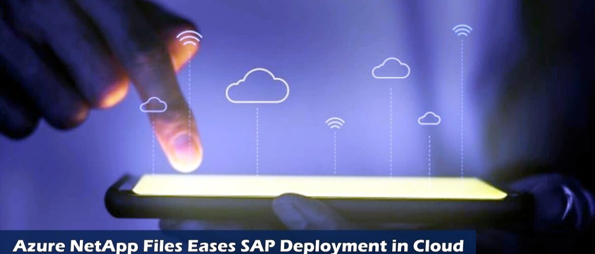 SAP FICO Training in Delhi