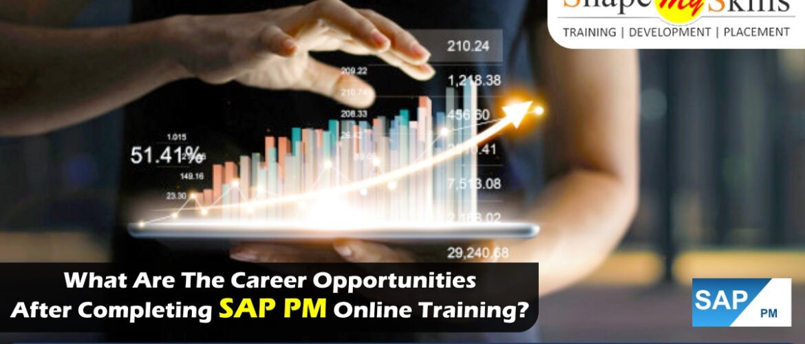 SAP PM training in Delhi