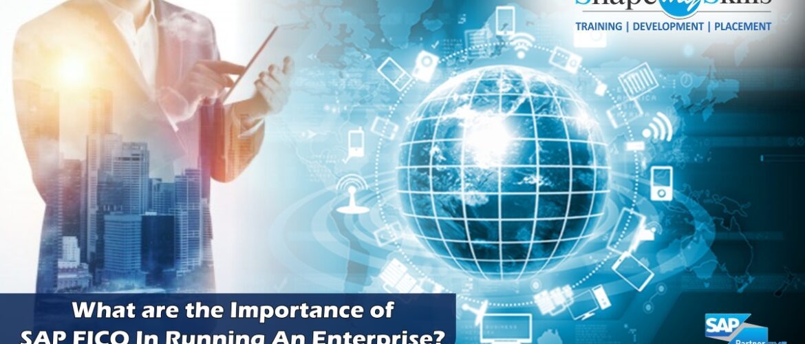 SAP FICO Training in Delhi