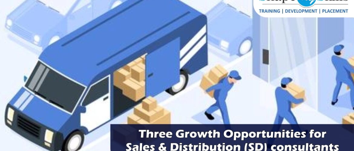 SAP SD Online Training | SAP SD training in Delhi | SAP SD training in Noida