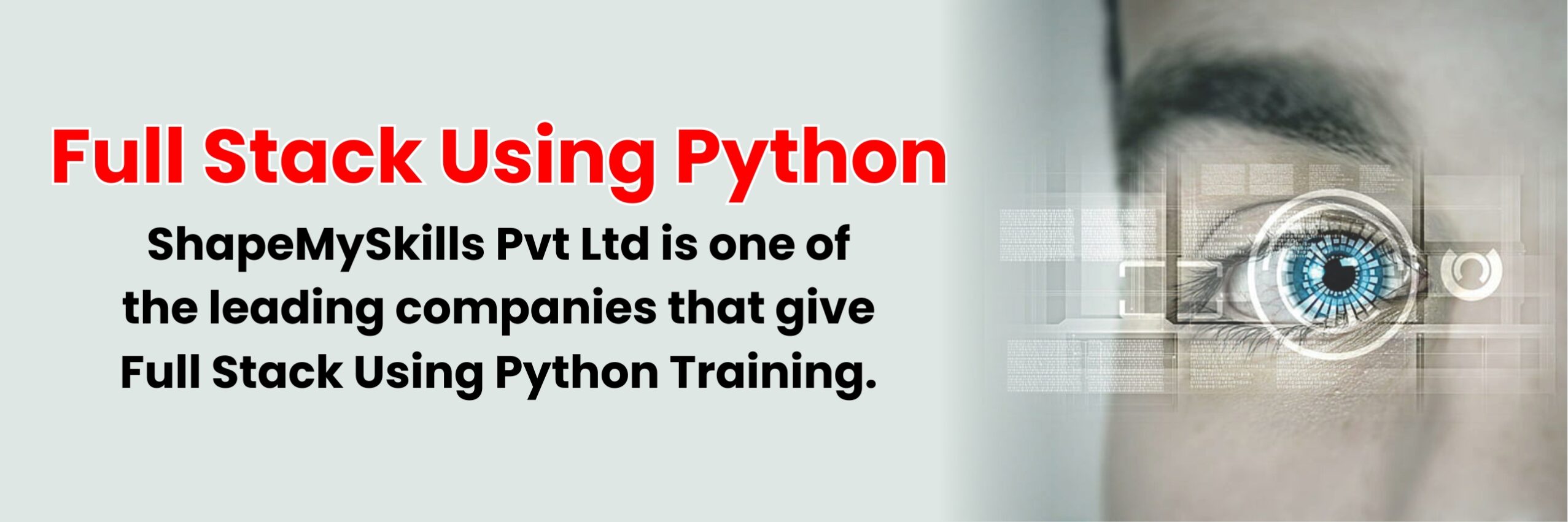 Python Full Stack Developer Course | Python Full Stack Course