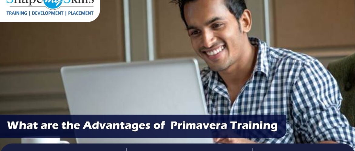 Primavera Online Training, Primavera Training In Noida, Primavera Training In Delhi