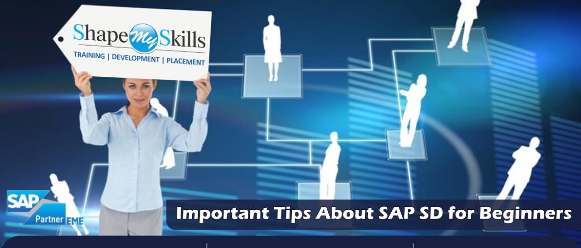 SAP SD Training in Noida | SAP SD Training in Delhi | SAP SD Online Training