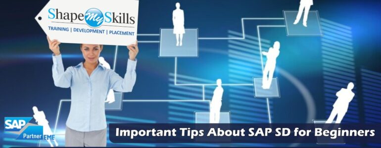 SAP SD Training in Noida | SAP SD Training in Delhi | SAP SD Online Training