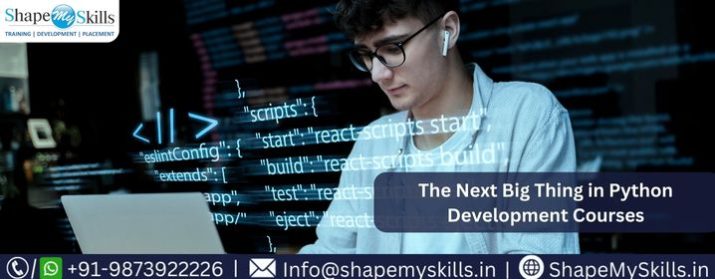 The Next Big Thing in Python Development Courses