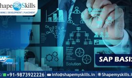 SAP BASIS Training In Noida | SAP BASIS Training in Delhi | SAP BASIS Online Training